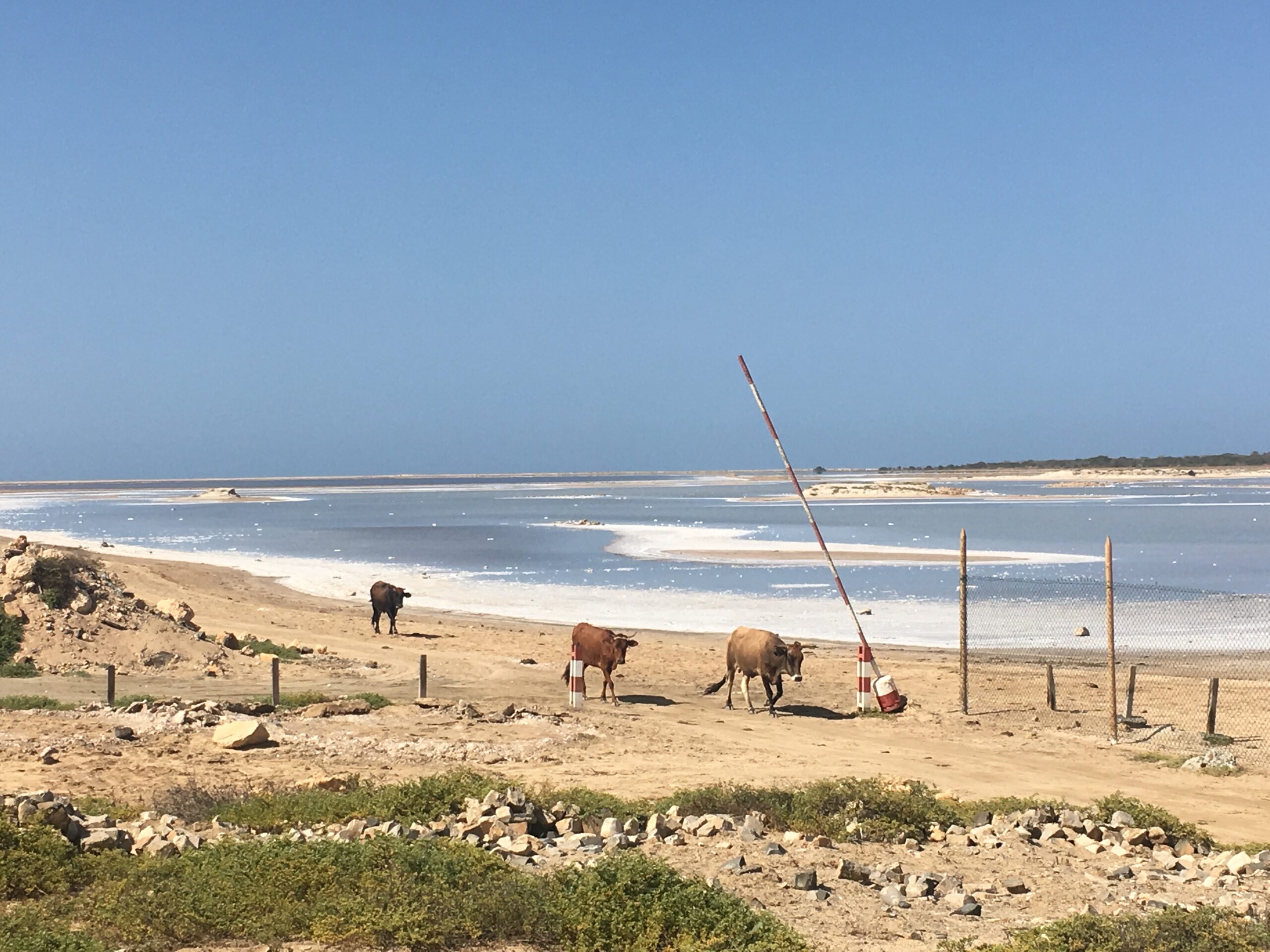 fullfill your destiny wall