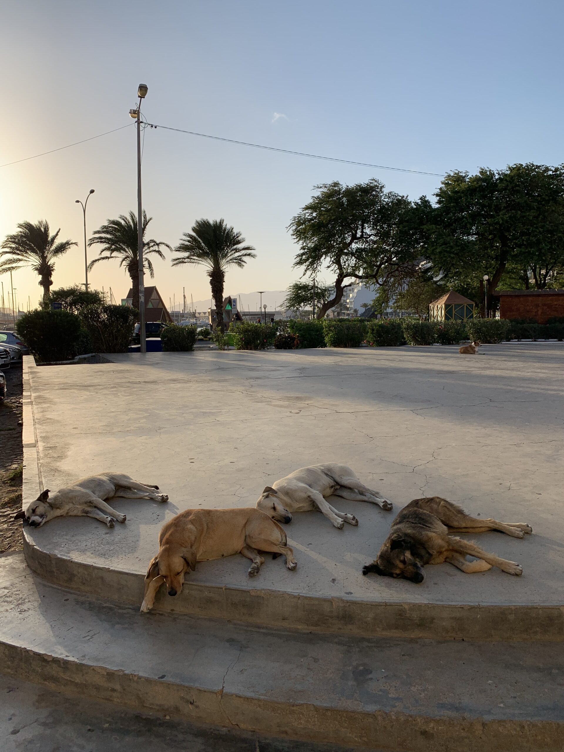 Marion an Bruecke in Mindelo